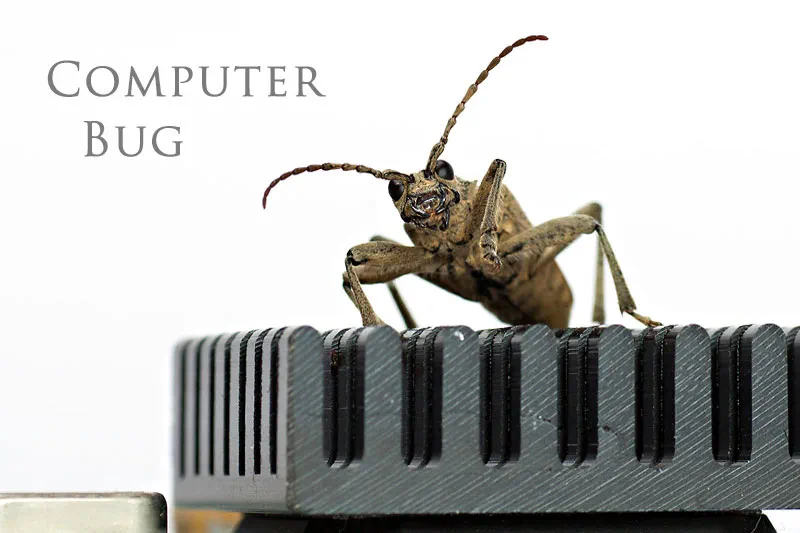 computer-bug-auftragsfotografie